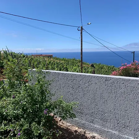 Pinheira I Calheta